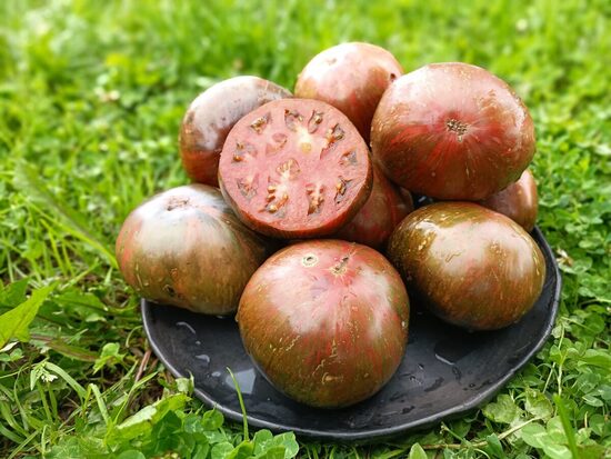Blood Moon ( 10 tomātu sēklas) (sel. Brad Gates)